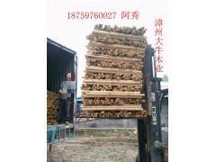 福建漳州 大牛木制品 供应优质松木木芯，松木柱子批发 木轴