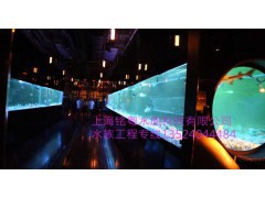 供应上海MINT酒吧会所大型玻璃鲨鱼观赏鱼缸