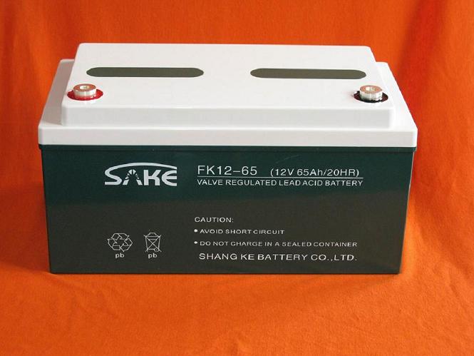 供应免维护铅酸蓄电池12v65ah(图)