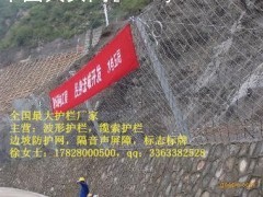 浙江被动防护网厂家批发，价格优惠