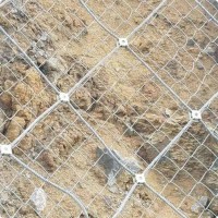 柔性边坡防护网 国标主动防护网 预防落石网厂家