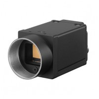 SONY XCG-CG160 全局CMOS相机