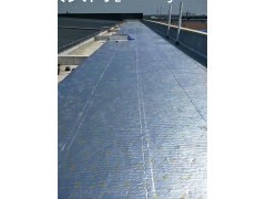 天信野麦龙彩钢屋面防水卷材可以外露抗高温100℃